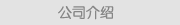 公司介绍