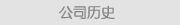 公司历史