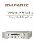 PM6003