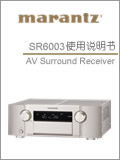 SR6003